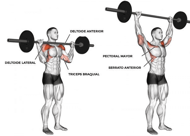 la mejor rutina de hombros para gym 