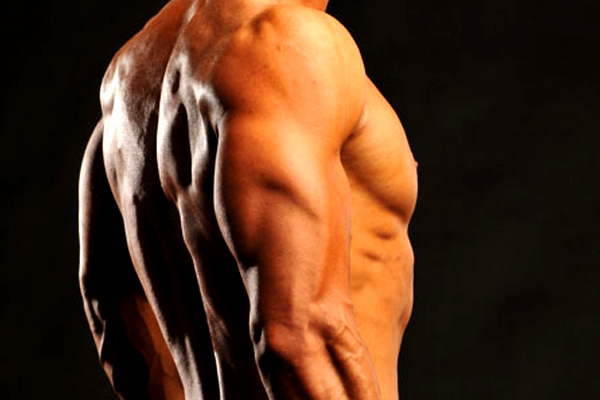 Triceps ganar masa muscular