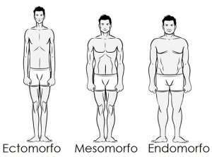 consejos-importantes-para-endomorfos