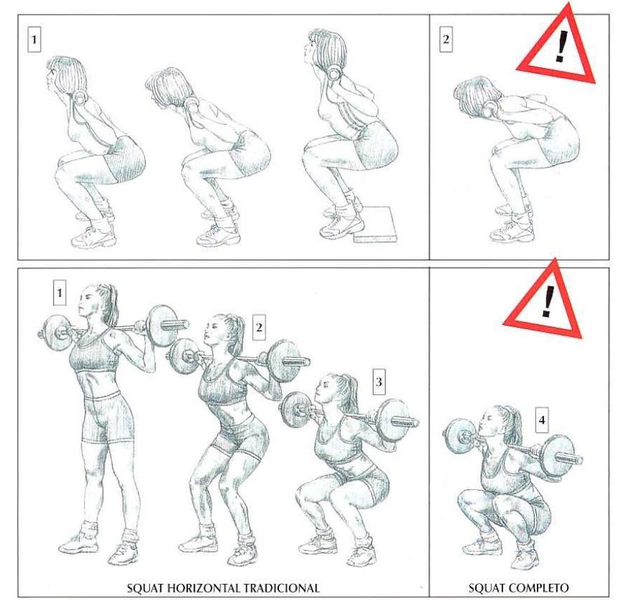 Los 5 mejores ejercicios para piernas y glúteos