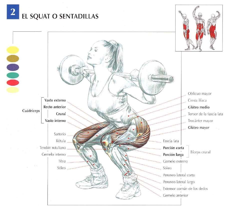 Los 5 mejores ejercicios para piernas y glúteos