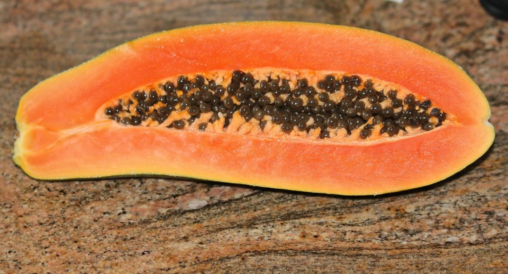 beneficios de la semilla de papaya
