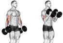 Aumentar el tamaño de tus bíceps con estos ejercicios