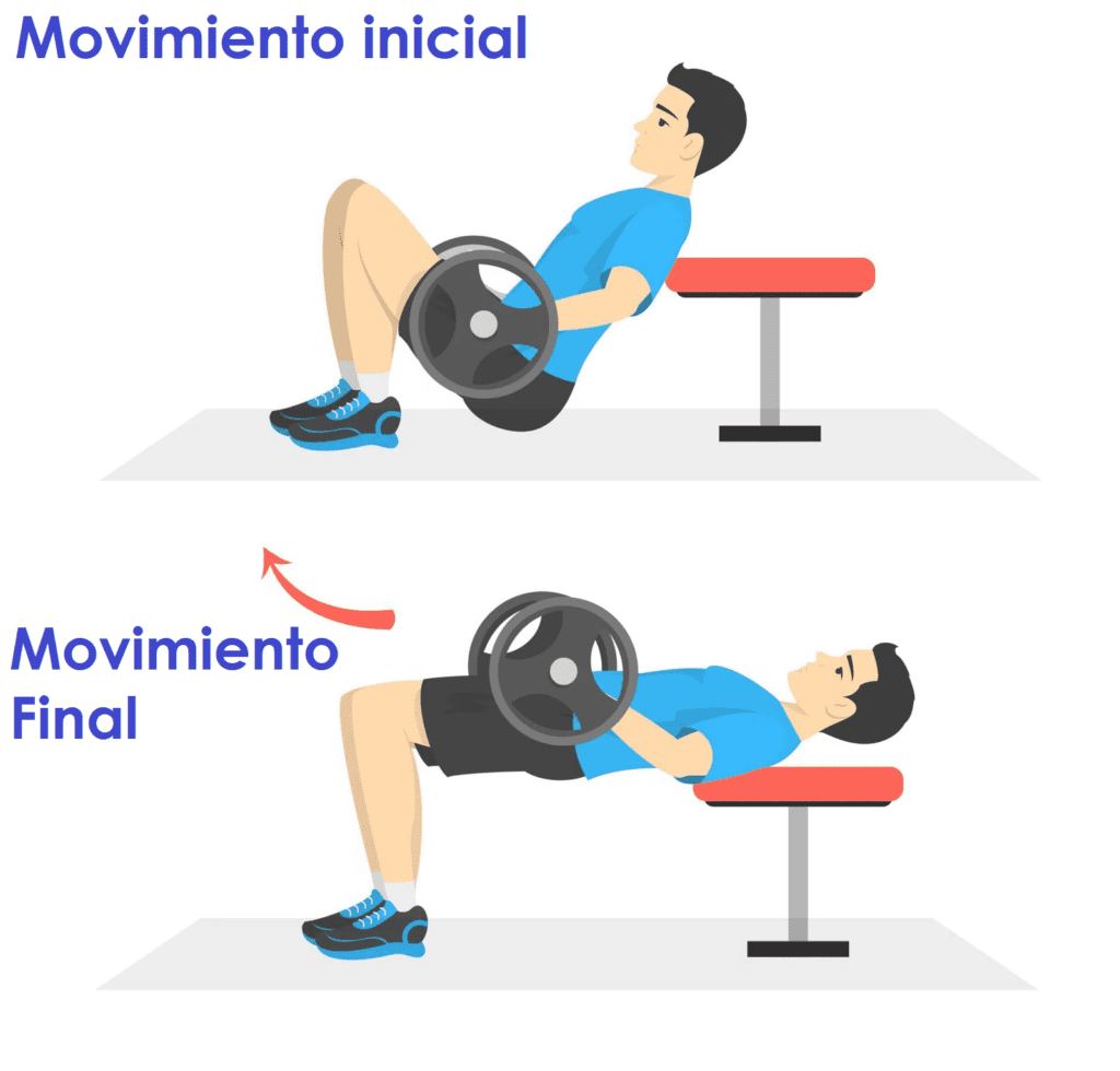 hip thrust excelente ejercicio para glúteos